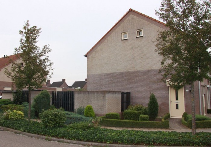 diverse kleine werken bestaande zijgevel voor verbouwing